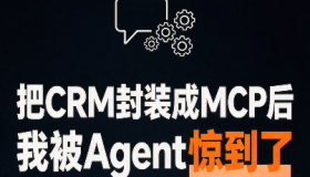 把CRM封装成MCP后，我被Agent惊到了